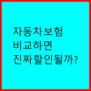 다모아PC | 자동차 보험 비교하면 진짜 할인될까?