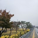 칠금2길 네이버블로그