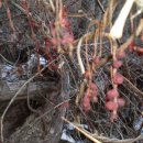 체력단련 이미지