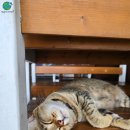 재외공무원자녀기숙사 | 클락 어학원 BEA 기숙사에서 직접 생활해보고왔어요!