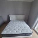 pet145더7392 | 씰리 에일레다이아몬드 가격대비 만족도 최상! 비슷한가격대 비교불가!