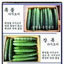 종진농장 이미지