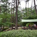 만수산자연휴양림 이미지