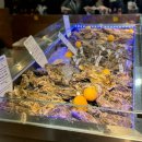 종로-연건-종로-연-128 | 서울 데이트 코스 추천 한강, 종로 귀금속거리(순금 목걸이 맞춘 후기), 광장시장