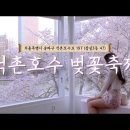 석촌호수 벚꽃축제,,,,4월7일(화) 5시 이미지