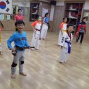 용인대현대태권도장 네이버블로그