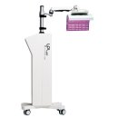 엘피엘