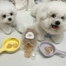 꼬소한댕 이미지