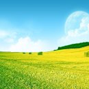 KCC엠파이어타워 이미지