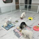 씻고놀개 이미지