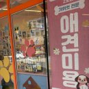 멍미 | 분리불안 걱정 없이 맡길 수 있는 부천애견호텔멍미 방문 후기