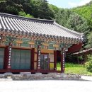 보은하다 이미지