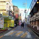 팔팔낙지 이미지