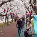 요천제방길 이미지