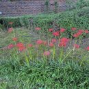 수Ⅱ노래연습장 이미지