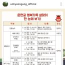 세화 PC | 궁궐·종묘·조선왕릉 무료 개방, 경복궁 붉은 말 세화 선착순 무료 나눔, 남산골 한옥마을 액막이 명태...