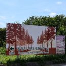 (주)메타스