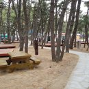 보령머드멀티랜드마크 이미지