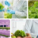 (주)케이에스팜 이미지