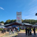 맛들의축제 | 2024 여주 오곡나루 축제 후기, 비빔밥 3천원 맛있어