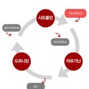 홍삼이 함유된 아르기닌 후기 닥터조이 홍르기닌