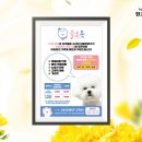 슬로독 이미지