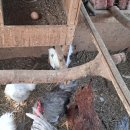 소로3-189 이미지