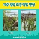 대한빌딩 | 파주 조경 업체 빌딩 벌목 작업