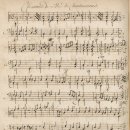 MS메드 | 샤콘느(Chaconne)