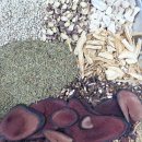 무궁화한의원 이미지