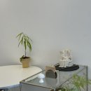 테로(TERO) 이미지
