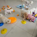 양정유치원 이미지