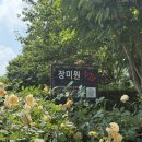 전주수목원 방문기 🌹 주말 주차 팁 + 장미 만개 시기 후기