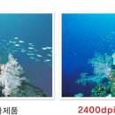 영우통신 이미지