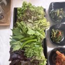 [고창 맛집] 텃밭쌈밥식당 양념숯불구이쌈밥 내돈내산 후기 (대존맛 맛집 추천!)