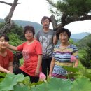 복현초등학교 이미지