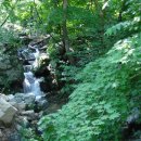 침곡농장 이미지