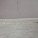 부송영무예다음 이미지