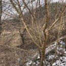 기안.당촌 이미지