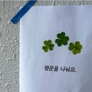 또또또 이미지