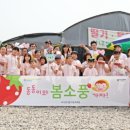 세종네트웍스 이미지