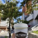 솔트마인 이미지