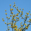 강릉우리집 이미지