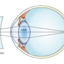 투에이치 안경 이미지