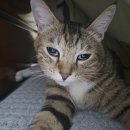 구로종합동물병원 이미지