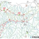 817 이미지