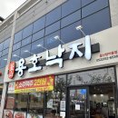 용호골목식당 | 울산 일산해수욕장 맛집 용호낙지 / 신선하고 얼큰한 낙곱새 맛본 솔직후기