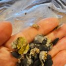 김동수농장 이미지