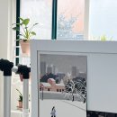 닥터페디 노원점 이미지