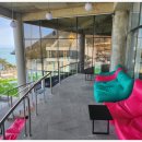 더마레 104 이미지